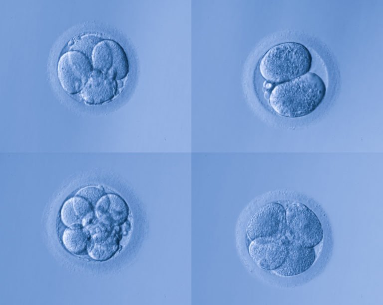 Mengedit Genom Embrio Manusia, Boleh?